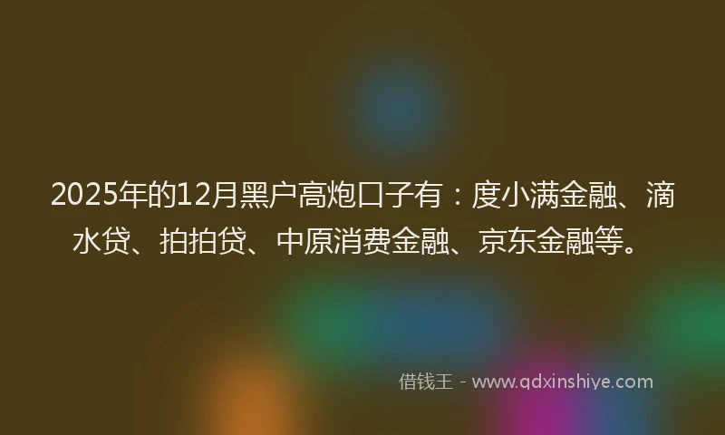 2025年的12月黑户高炮口子有：度小满金融、滴水贷、拍拍贷、中原消费金融、京东金融等。