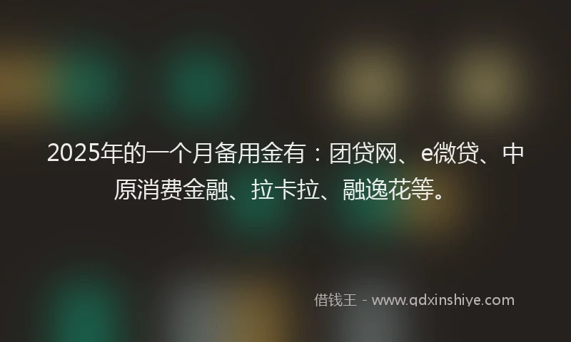 2025年的一个月备用金有：团贷网、e微贷、中原消费金融、拉卡拉、融逸花等。