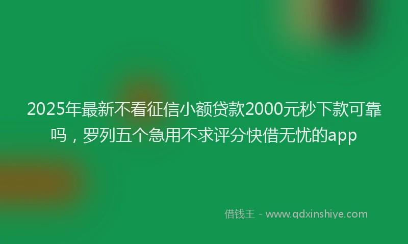 2025年最新不看征信小额贷款2000元秒下款可靠吗，罗列五个急用不求评分快借无忧的app