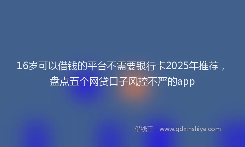 16岁可以借钱的平台不需要银行卡2025年推荐，盘点五个网贷口子风控不严的app