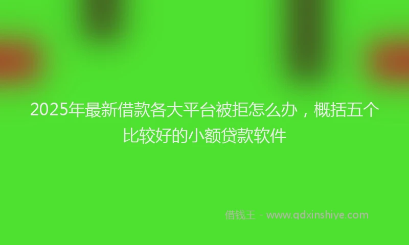 2025年最新借款各大平台被拒怎么办，概括五个比较好的小额贷款软件