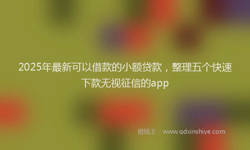 2025年最新可以借款的小额贷款，整理五个快速下款无视征信的app