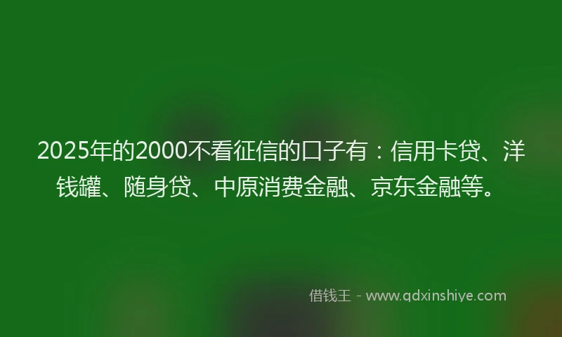 2025年的2000不看征信的口子有：信用卡贷、洋钱罐、随身贷、中原消费金融、京东金融等。