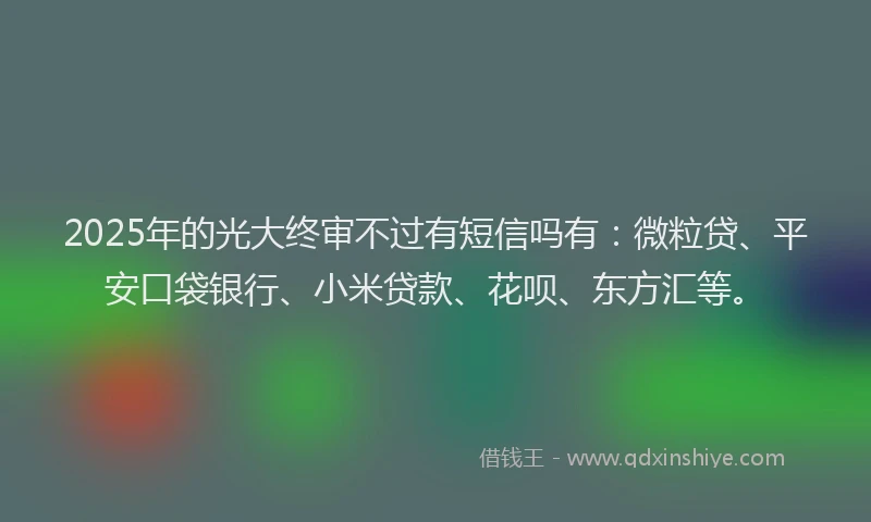 2025年的光大终审不过有短信吗有：微粒贷、平安口袋银行、小米贷款、花呗、东方汇等。