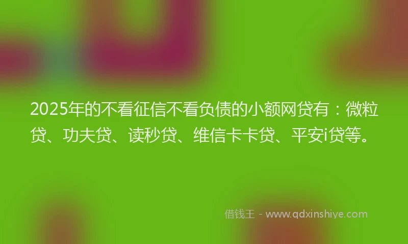 2025年的不看征信不看负债的小额网贷有：微粒贷、功夫贷、读秒贷、维信卡卡贷、平安i贷等。