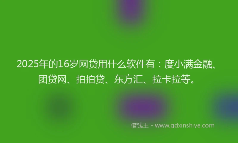 2025年的16岁网贷用什么软件有：度小满金融、团贷网、拍拍贷、东方汇、拉卡拉等。