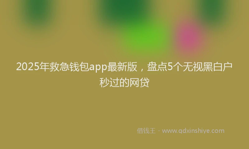 2025年救急钱包app最新版，盘点5个无视黑白户秒过的网贷
