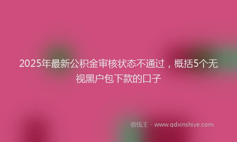 2025年最新公积金审核状态不通过，概括5个无视黑户包下款的口子