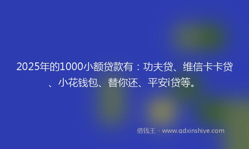 2025年的1000小额贷款有：功夫贷、维信卡卡贷、小花钱包、替你还、平安i贷等。