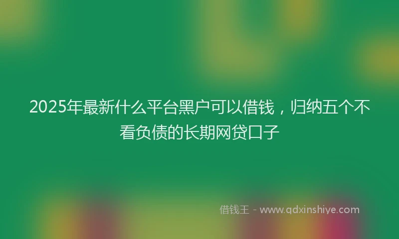 2025年最新什么平台黑户可以借钱，归纳五个不看负债的长期网贷口子
