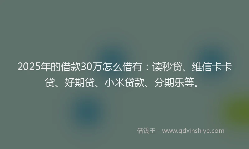 2025年的借款30万怎么借有：读秒贷、维信卡卡贷、好期贷、小米贷款、分期乐等。