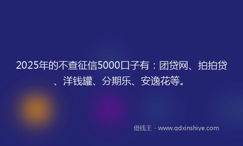2025年的不查征信5000口子有：团贷网、拍拍贷、洋钱罐、分期乐、安逸花等。