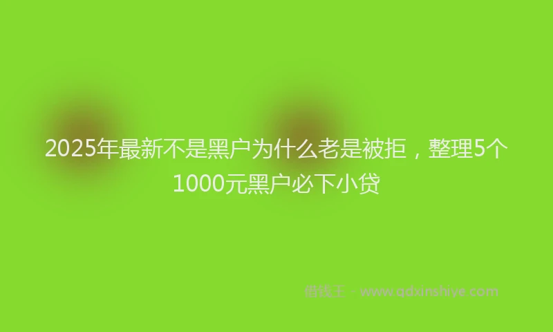 2025年最新不是黑户为什么老是被拒，整理5个1000元黑户必下小贷