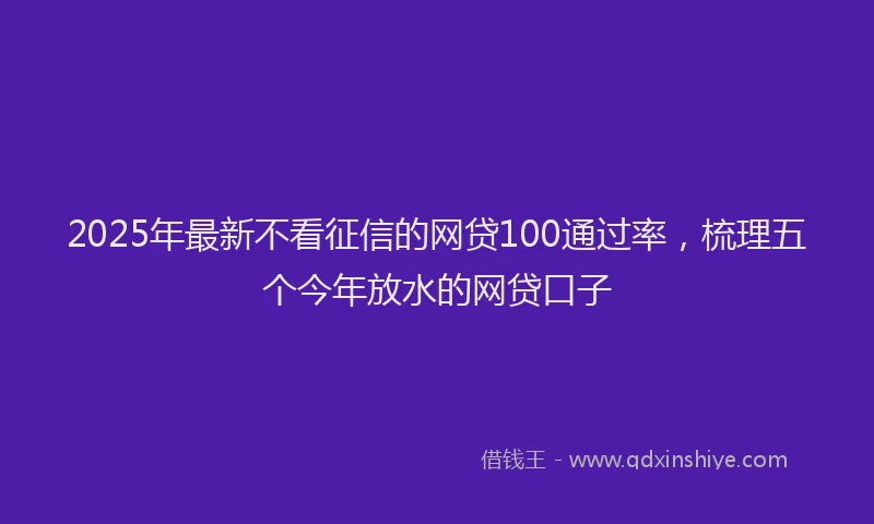 2025年最新不看征信的网贷100通过率，梳理五个今年放水的网贷口子