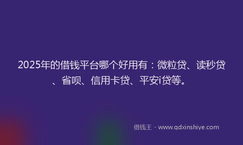 2025年的借钱平台哪个好用有：微粒贷、读秒贷、省呗、信用卡贷、平安i贷等。