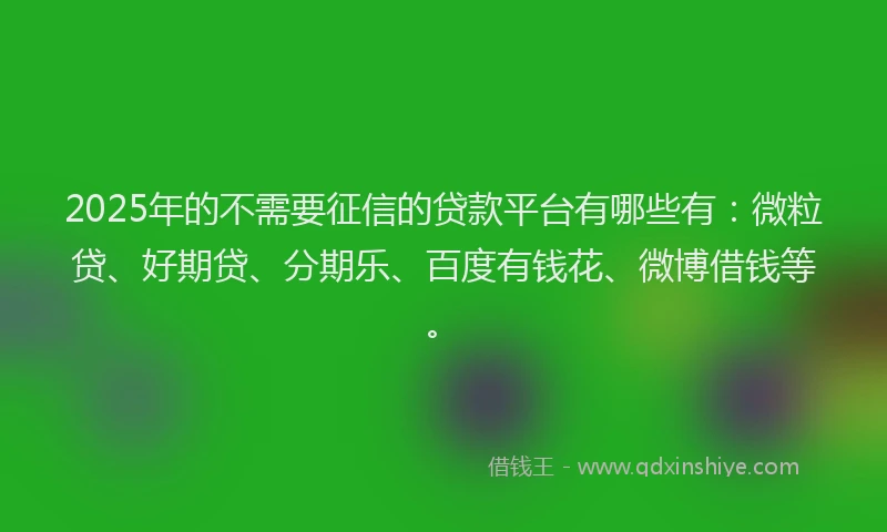 2025年的不需要征信的贷款平台有哪些有：微粒贷、好期贷、分期乐、百度有钱花、微博借钱等。