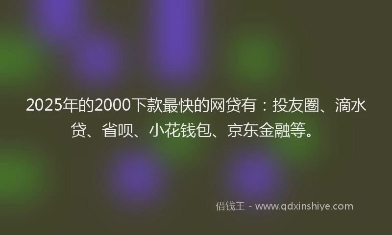 2025年的2000下款最快的网贷有：投友圈、滴水贷、省呗、小花钱包、京东金融等。