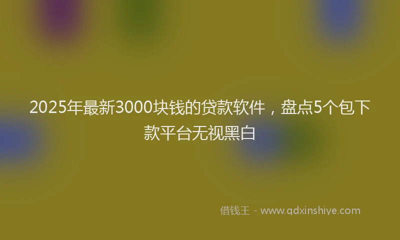 2025年最新3000块钱的贷款软件，盘点5个包下款平台无视黑白