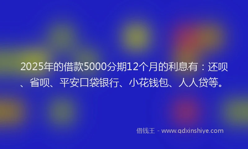 2025年的借款5000分期12个月的利息有：还呗、省呗、平安口袋银行、小花钱包、人人贷等。
