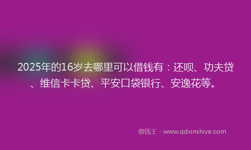 2025年的16岁去哪里可以借钱有：还呗、功夫贷、维信卡卡贷、平安口袋银行、安逸花等。