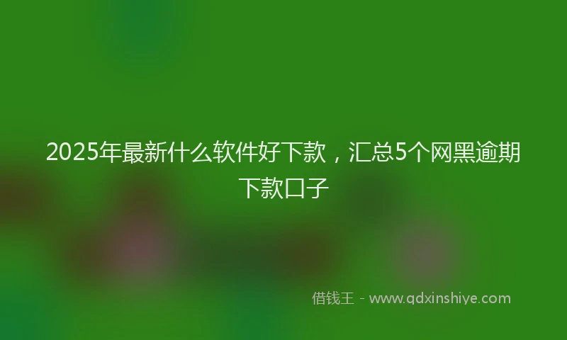 2025年最新什么软件好下款，汇总5个网黑逾期下款口子
