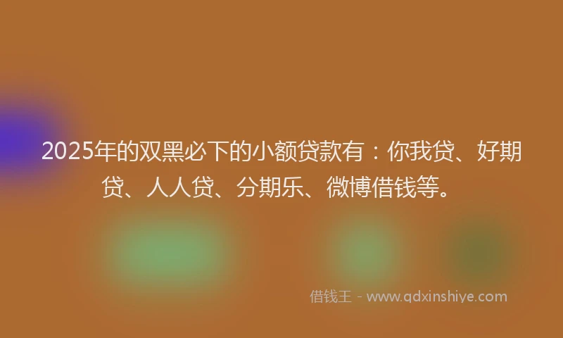 2025年的双黑必下的小额贷款有：你我贷、好期贷、人人贷、分期乐、微博借钱等。