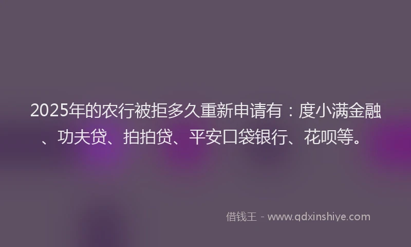 2025年的农行被拒多久重新申请有：度小满金融、功夫贷、拍拍贷、平安口袋银行、花呗等。