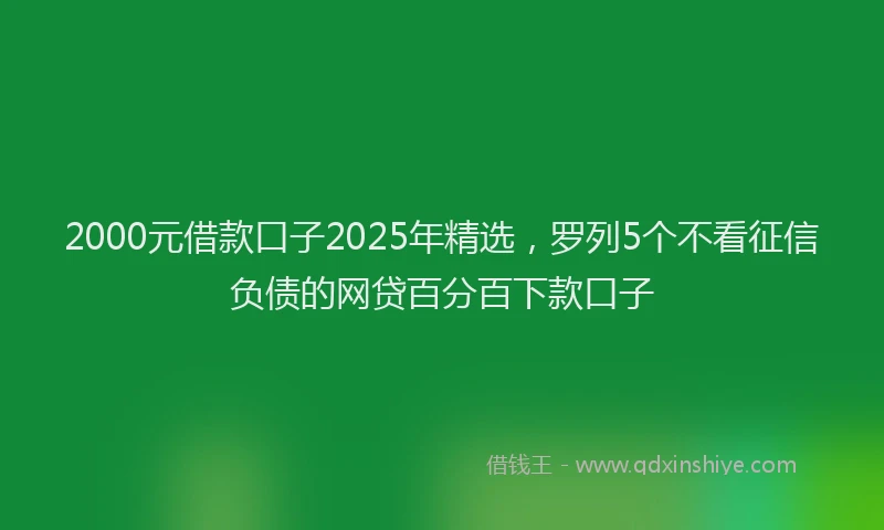 2000元借款口子2025年精选，罗列5个不看征信负债的网贷百分百下款口子