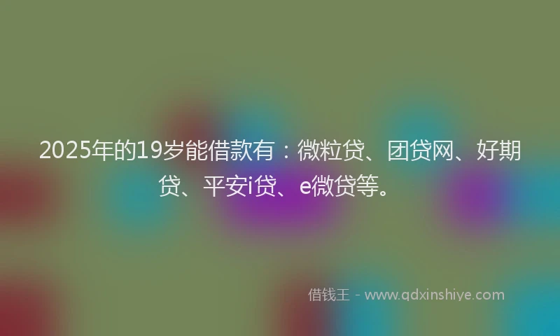 2025年的19岁能借款有：微粒贷、团贷网、好期贷、平安i贷、e微贷等。