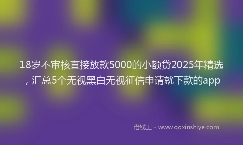 18岁不审核直接放款5000的小额贷2025年精选，汇总5个无视黑白无视征信申请就下款的app