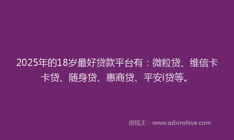 2025年的18岁最好贷款平台有：微粒贷、维信卡卡贷、随身贷、惠商贷、平安i贷等。