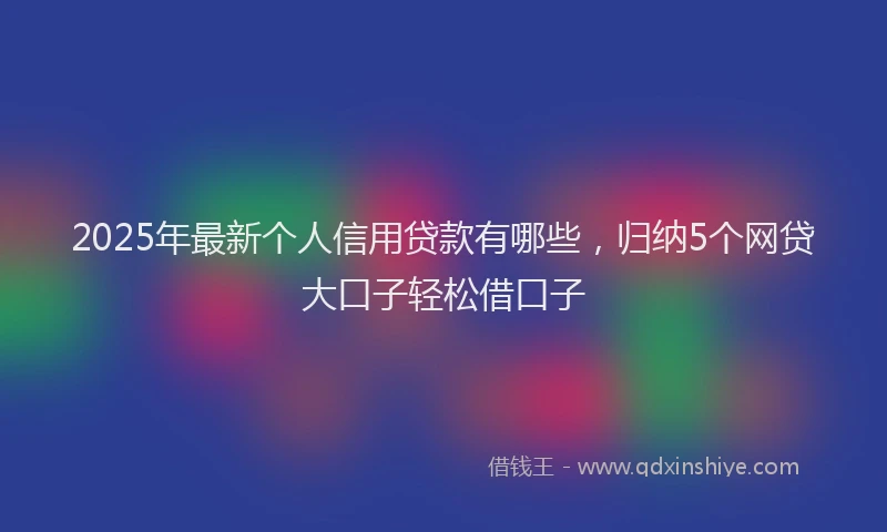 2025年最新个人信用贷款有哪些，归纳5个网贷大口子轻松借口子