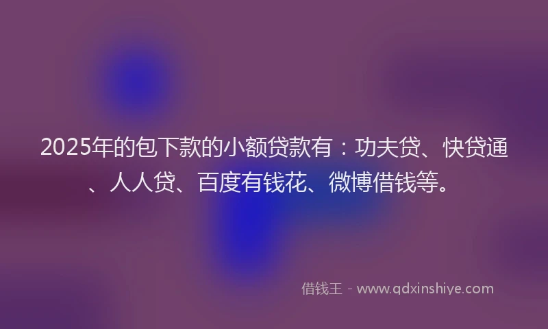 2025年的包下款的小额贷款有：功夫贷、快贷通、人人贷、百度有钱花、微博借钱等。