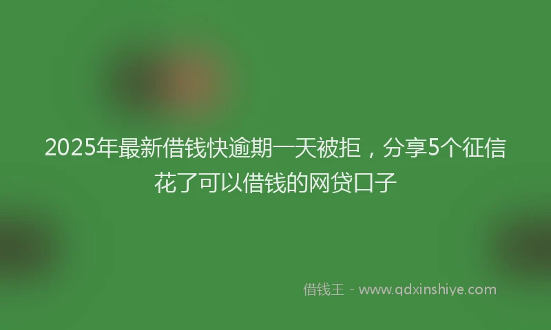 2025年最新借钱快逾期一天被拒，分享5个征信花了可以借钱的网贷口子