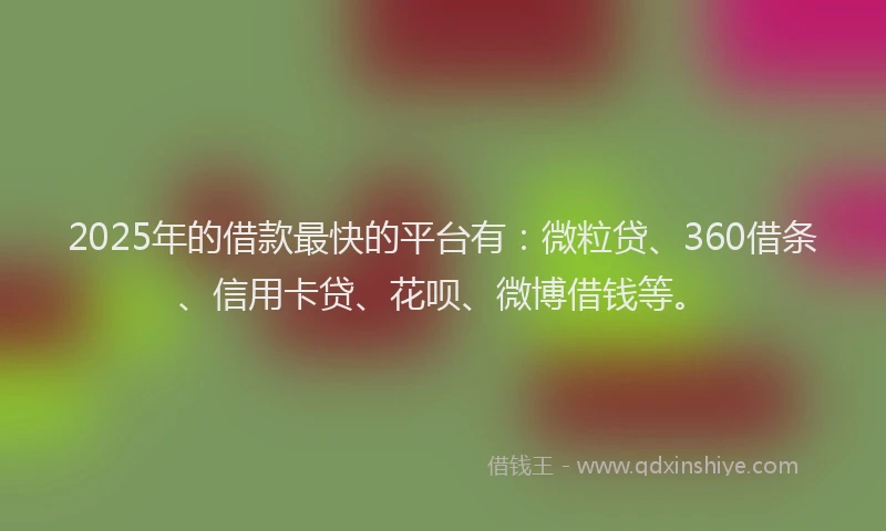 2025年的借款最快的平台有：微粒贷、360借条、信用卡贷、花呗、微博借钱等。