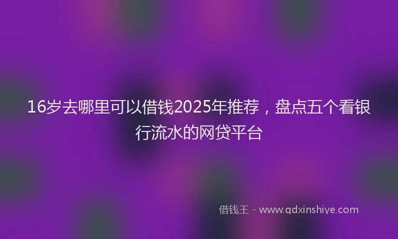 16岁去哪里可以借钱2025年推荐，盘点五个看银行流水的网贷平台