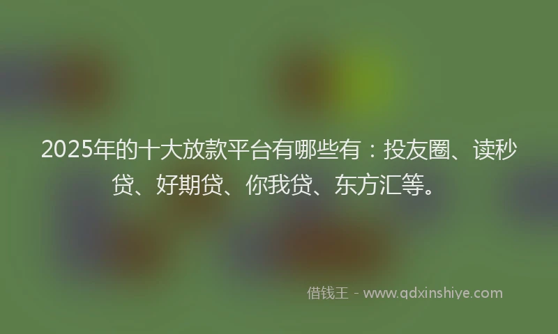 2025年的十大放款平台有哪些有：投友圈、读秒贷、好期贷、你我贷、东方汇等。