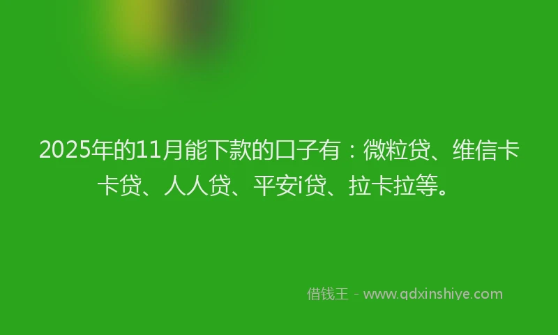 2025年的11月能下款的口子有：微粒贷、维信卡卡贷、人人贷、平安i贷、拉卡拉等。