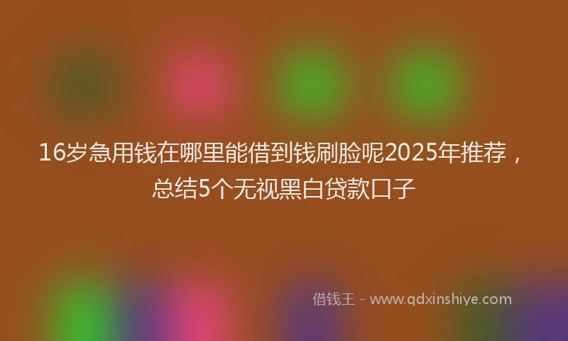 16岁急用钱在哪里能借到钱刷脸呢2025年推荐，总结5个无视黑白贷款口子