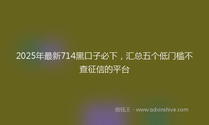 2025年最新714黑口子必下，汇总五个低门槛不查征信的平台