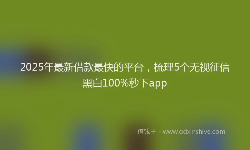 2025年最新借款最快的平台，梳理5个无视征信黑白100%秒下app