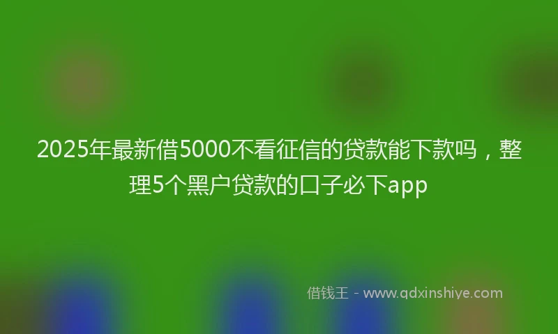 2025年最新借5000不看征信的贷款能下款吗，整理5个黑户贷款的口子必下app