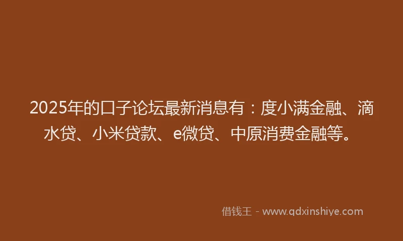 2025年的口子论坛最新消息有：度小满金融、滴水贷、小米贷款、e微贷、中原消费金融等。