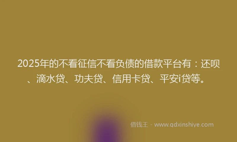 2025年的不看征信不看负债的借款平台有：还呗、滴水贷、功夫贷、信用卡贷、平安i贷等。