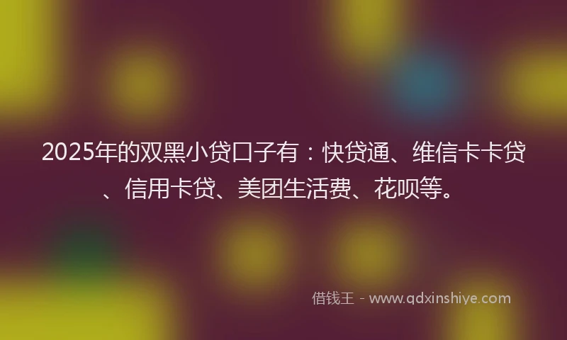 2025年的双黑小贷口子有：快贷通、维信卡卡贷、信用卡贷、美团生活费、花呗等。