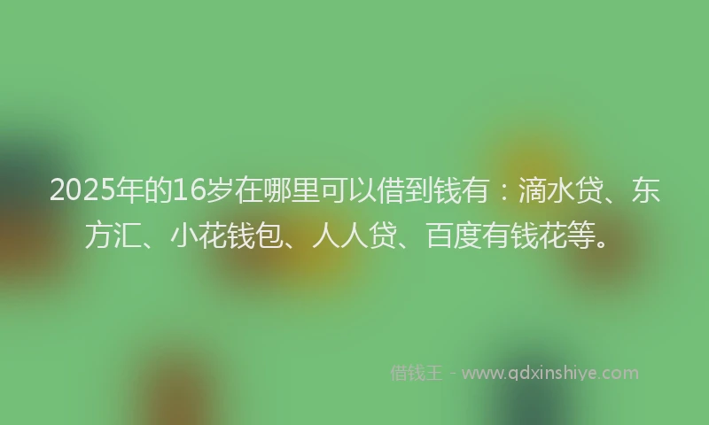 2025年的16岁在哪里可以借到钱有：滴水贷、东方汇、小花钱包、人人贷、百度有钱花等。