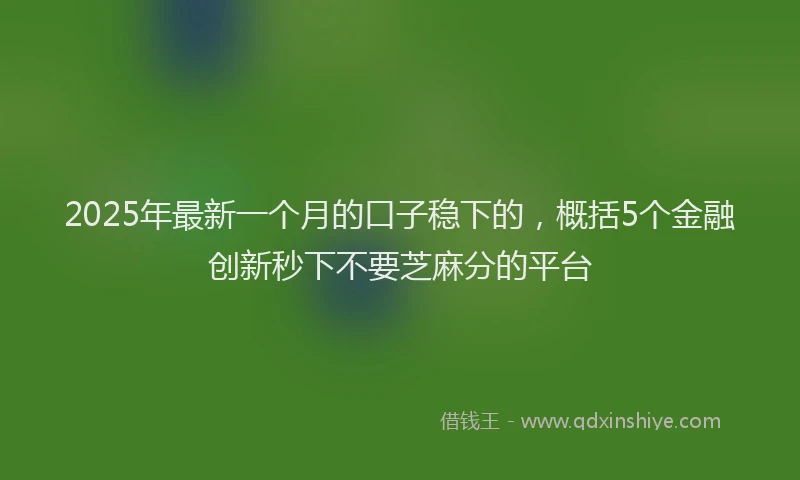 2025年最新一个月的口子稳下的，概括5个金融创新秒下不要芝麻分的平台