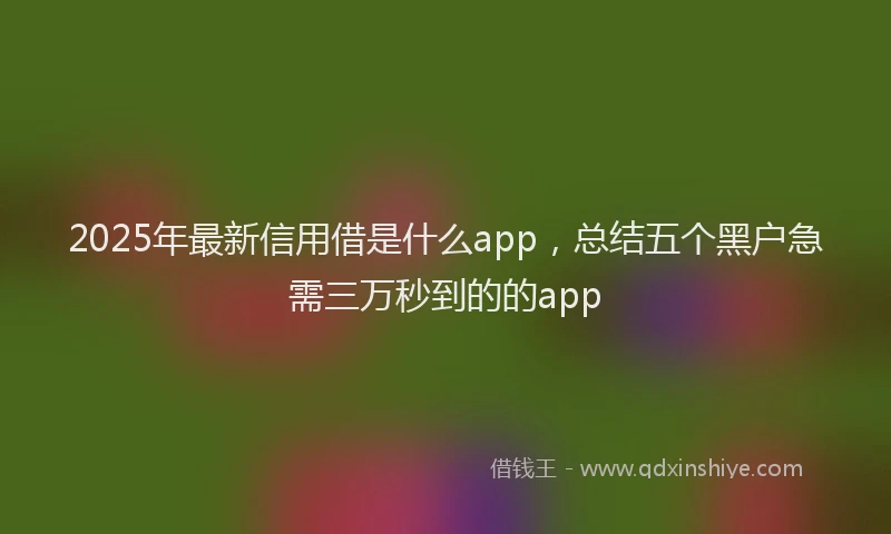 2025年最新信用借是什么app，总结五个黑户急需三万秒到的的app
