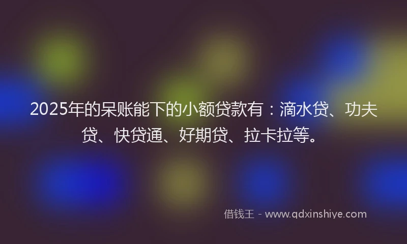2025年的呆账能下的小额贷款有：滴水贷、功夫贷、快贷通、好期贷、拉卡拉等。