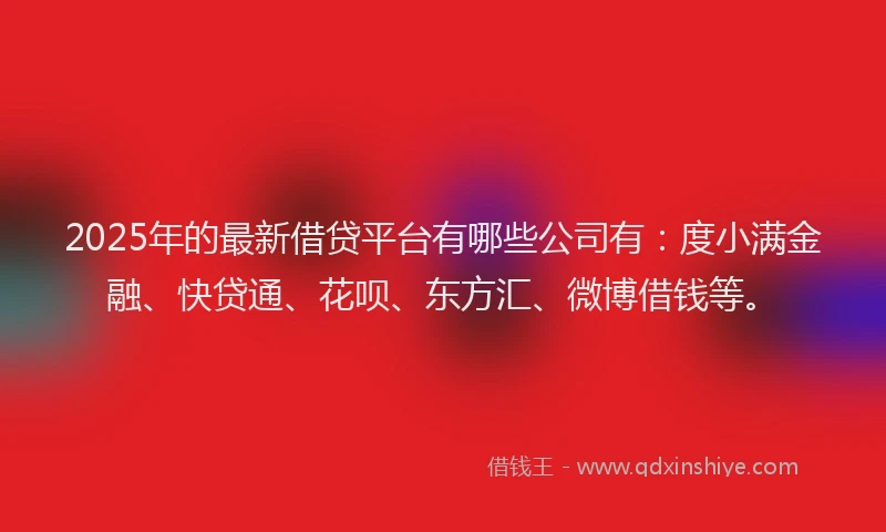 2025年的最新借贷平台有哪些公司有：度小满金融、快贷通、花呗、东方汇、微博借钱等。